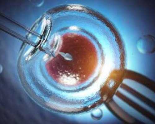 成都供卵试管经历_月子妈妈捂过了头易中暑