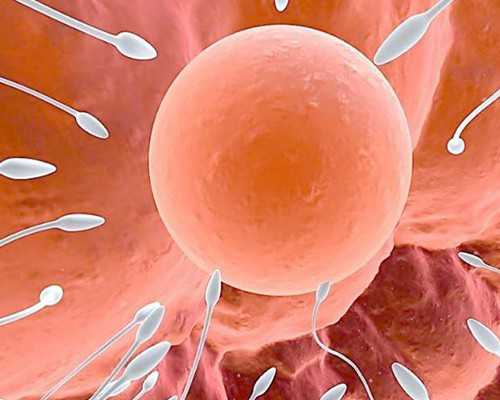 不明觉厉！巨细胞病毒igm阳性指的是什么？