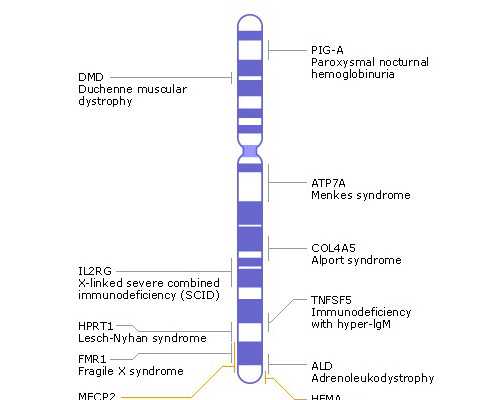 子宫内膜达到多少可以做试管婴儿，过薄过厚都不利于胚胎着床