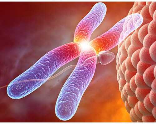 两女性在国内通过骨髓造精怀孕需要多少钱？
