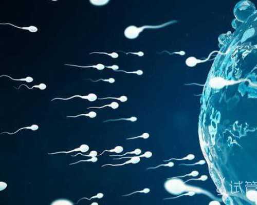 一周两次最佳！服用生精片同房时间和频率勿随意