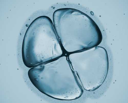 检查单上的胎儿颈部可见w型压迹该怎么理解？