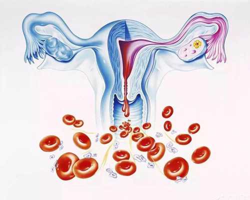 女性雌激素高会不孕吗，还需不需要调理？