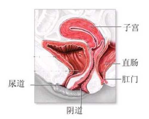 一天一粒不能多，孕妇每日服用200毫克dha是基础