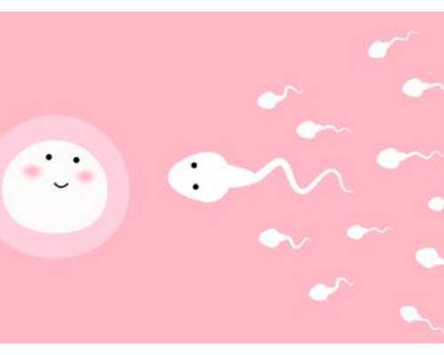 安徽借卵生育-安徽代生孩子咨询-第三代试管安徽哪里最好