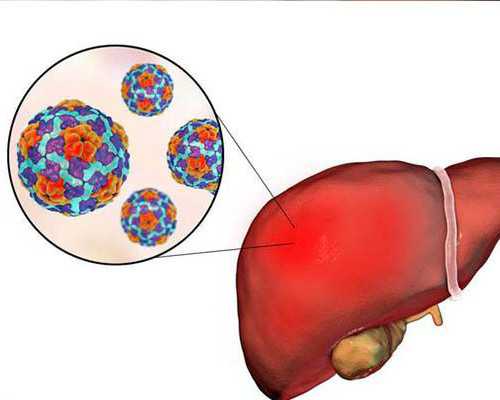 滑脉是什么意思？