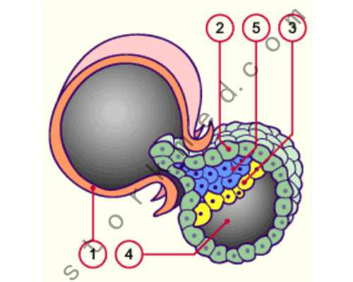 昆明供卵代生咨询,昆明试管供卵（温州供卵包男孩）