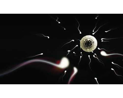 宁波做供卵试管医院排名，附2022试管生男孩费用解析