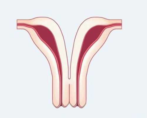 激素6项哪一项看卵巢功能