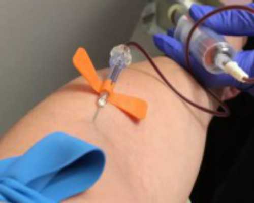 河北正规供卵费多少钱_家长如何教育孩子