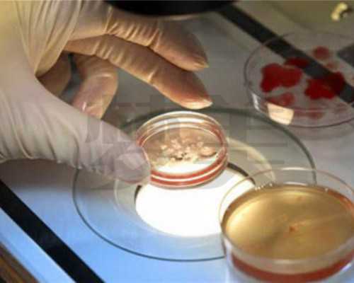 高龄女性做俄罗斯试管婴儿成功率是不是很低