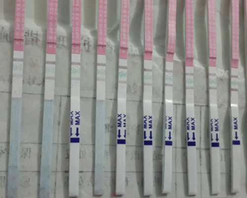 失独家庭在长春做三代试管供卵包生男孩成功率高吗