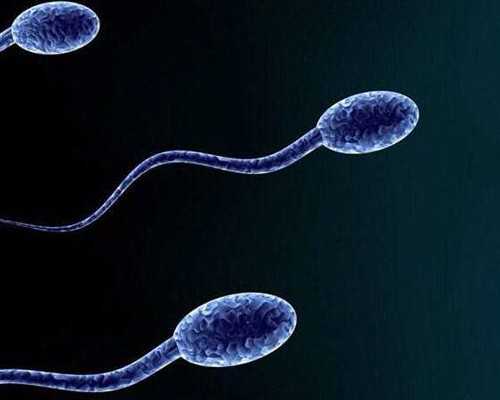 重庆正规的供卵医院_2020年大年十二出生的鼠宝宝好不好