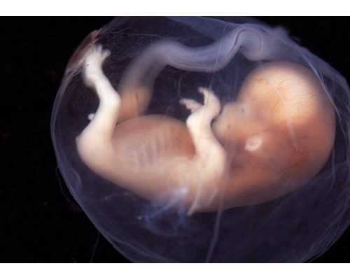 2022江西省妇幼保健院试管婴儿成功率一览，附试管医生推荐