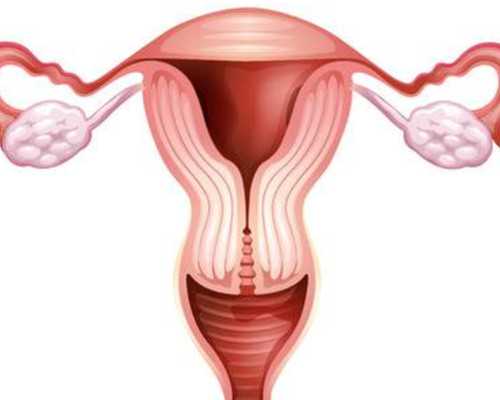 厦门有供卵的私立医院吗_月经不调的原因分析