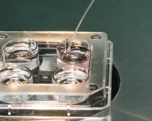 各个牌子的肝素区别