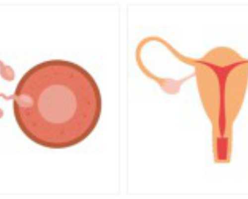 双胞胎心灵感应事件屡见不鲜，是否真实存在专家这么说