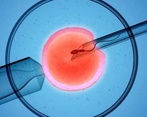 昆明安琪儿试管婴儿费用明细表，2025助孕过程花费预估