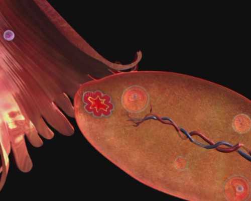 吃什么可以缓解痛经