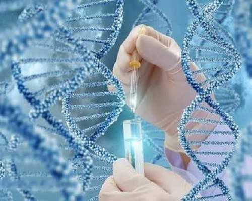 银川哪里可以供卵_孕妇尾椎骨酸痛是因为什么