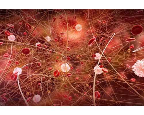 催乳激素(PRL)的作用说明，不只是抑制促性腺激素生成