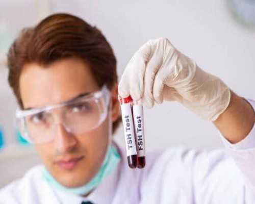 多吃饭少吃菜，还是多吃菜少吃饭？