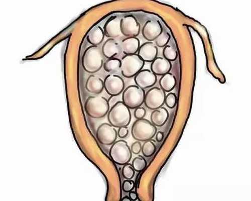 厦门174医院生殖科可以做三代试管婴儿选男女性别吗？