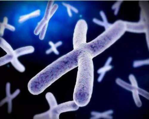 经皮睾丸/附睾穿刺取精术（TESA/PESA）