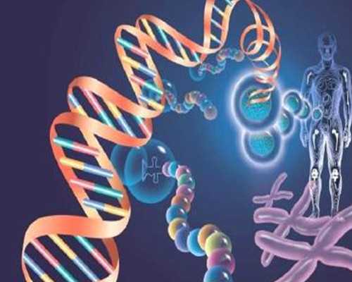 海南供卵试管婴儿论坛_对孩子说大声说“你能行”