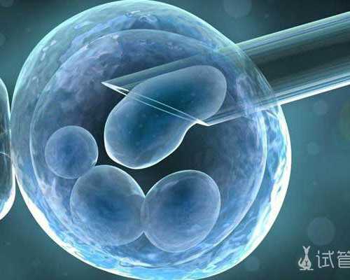 山西供卵医院金贝供卵_解析3-6岁宝宝的性格征兆