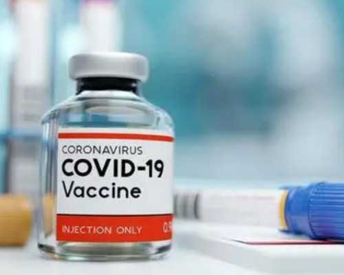 胚芽什么时候出现