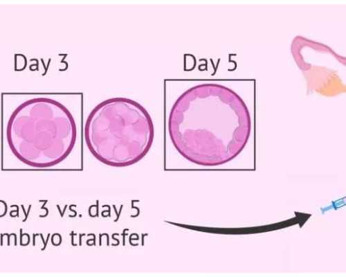哪里可以做供卵试管婴儿_【供卵试管婴儿需要什么手续】痛了三天三夜，终于